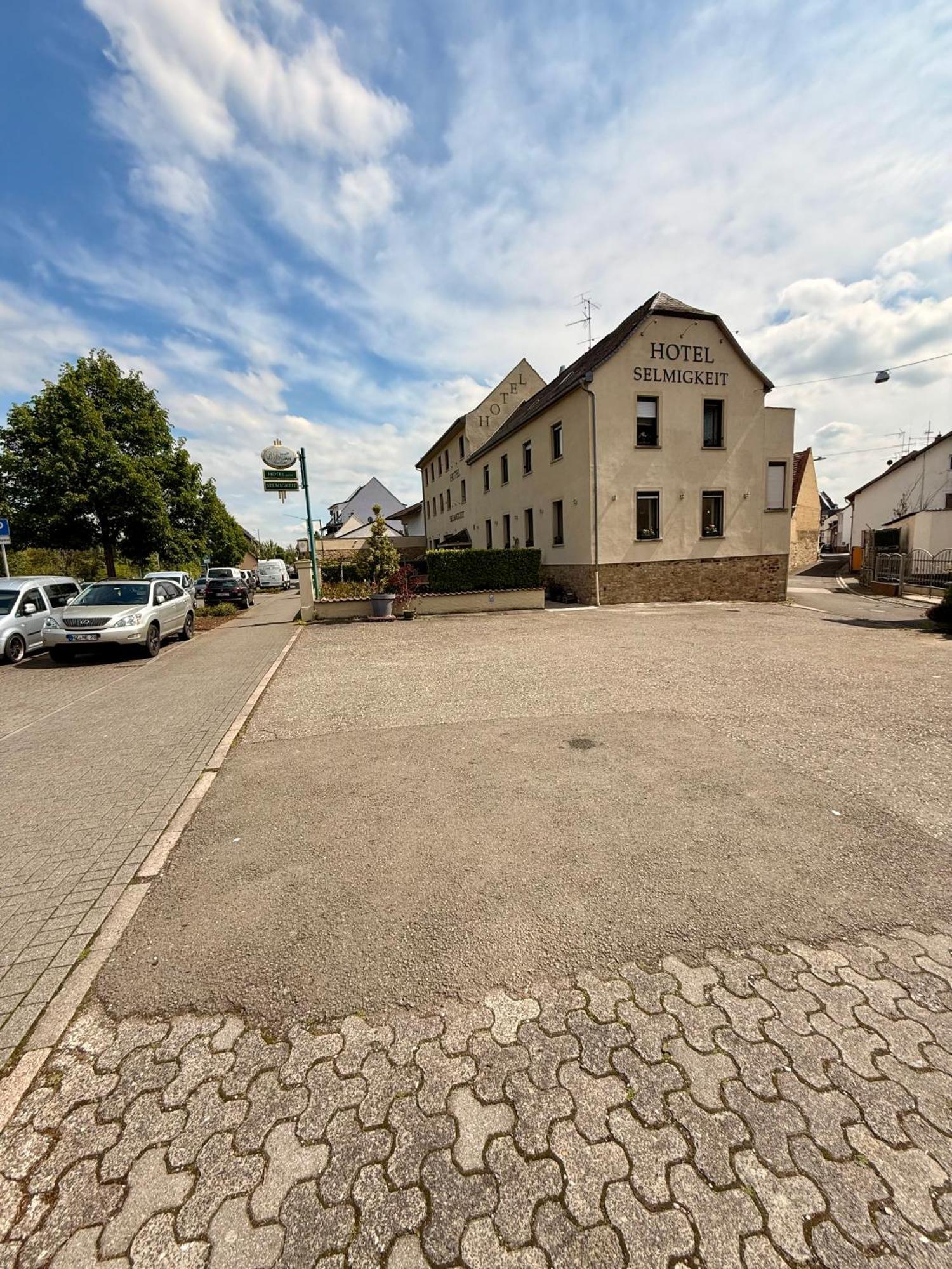 מלון בינגן אם ריין Weinhaus Selmigkeit מראה חיצוני תמונה