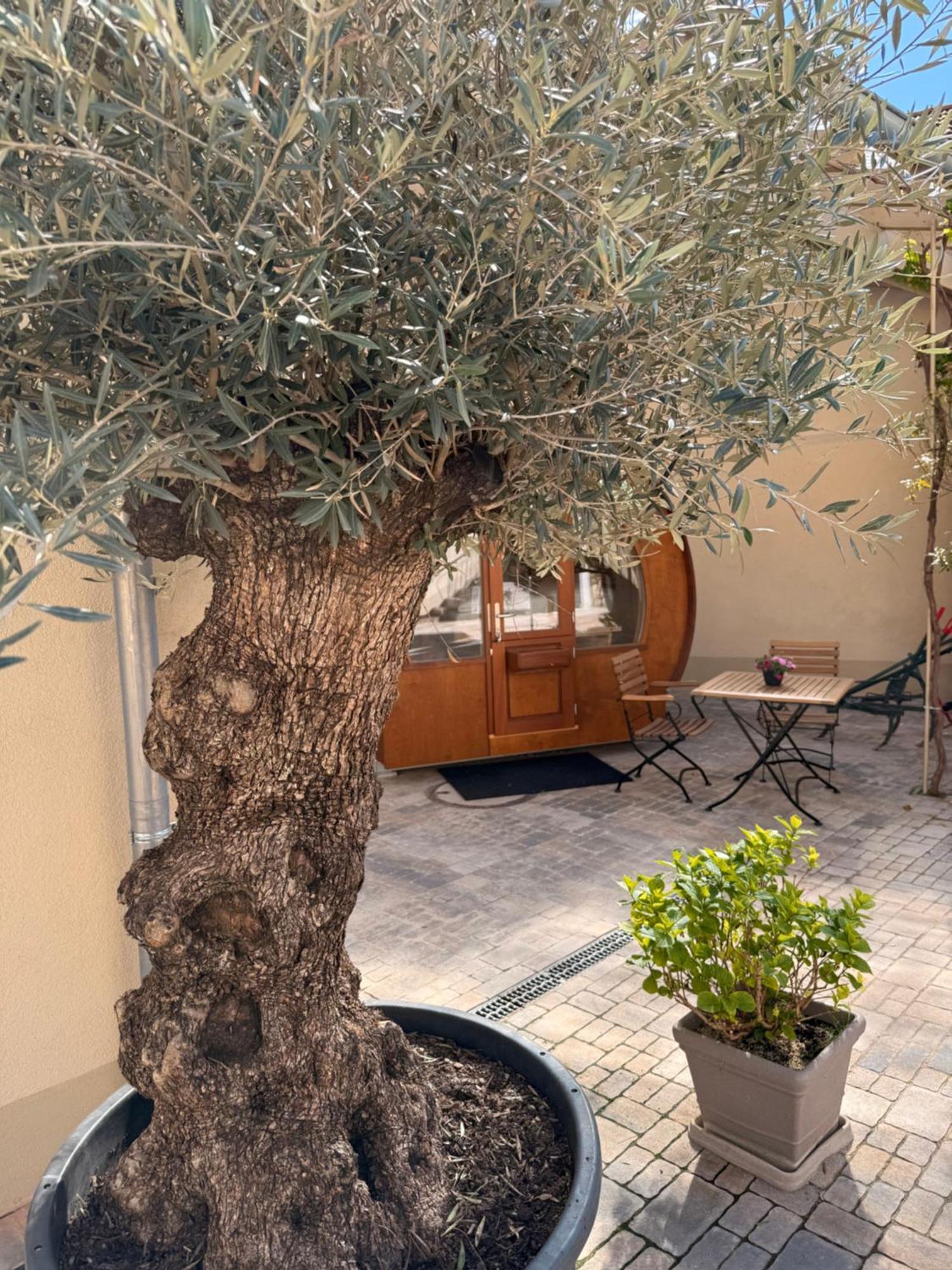 מלון בינגן אם ריין Weinhaus Selmigkeit מראה חיצוני תמונה